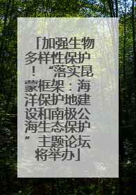 加强生物多样性保护！“落实昆蒙框架：海洋保护地建设和南极公海生态保护”主题论坛将举办